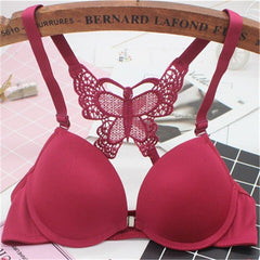 Silk Secret Butterfly - Fun Night Padded Bra maroon good quality br a price in pakistan
