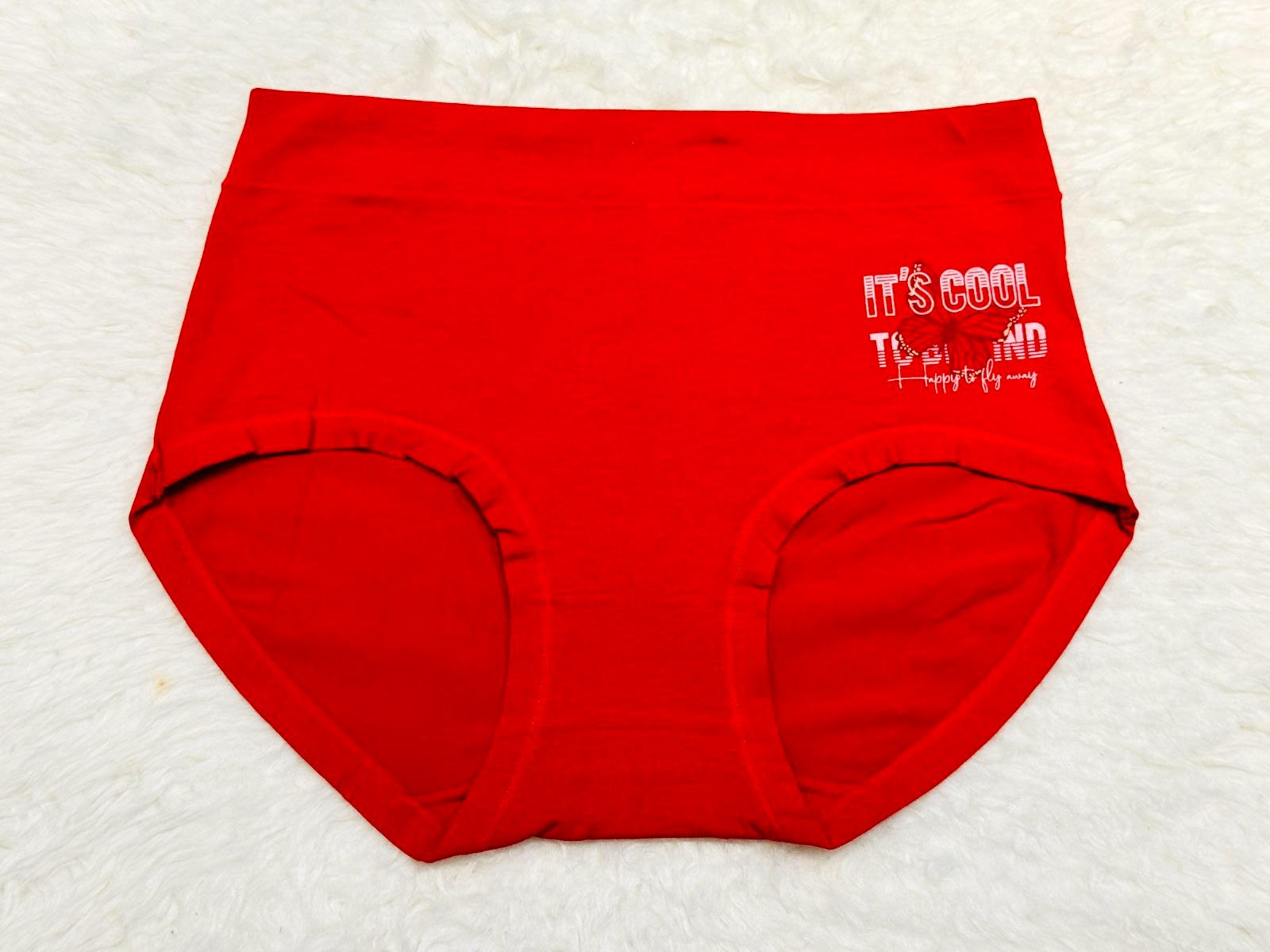 Silk Secret Butterfly Print Brief Cotton Panty re covered panties for women and ladies price in pakistan online