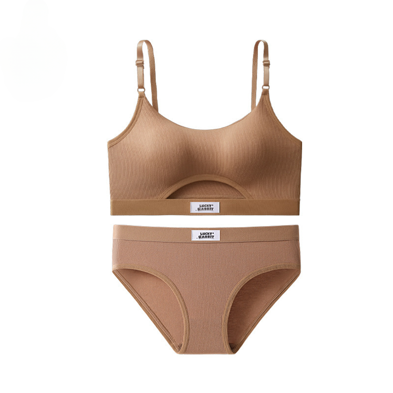 Silk Secret Linza Sports Bra and Panty Set