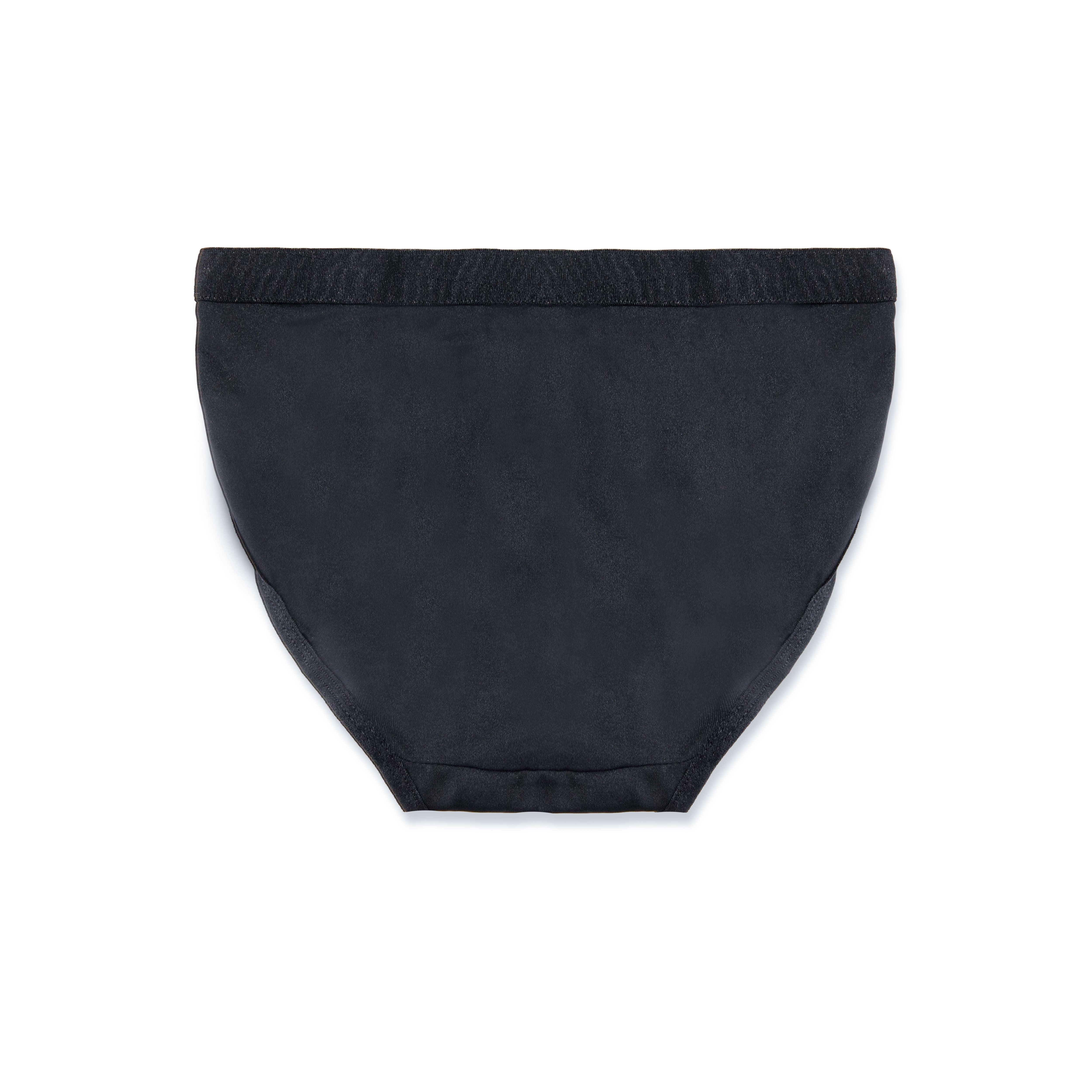 Silk Secret Hipster Panty - Rosetta Lace Brief