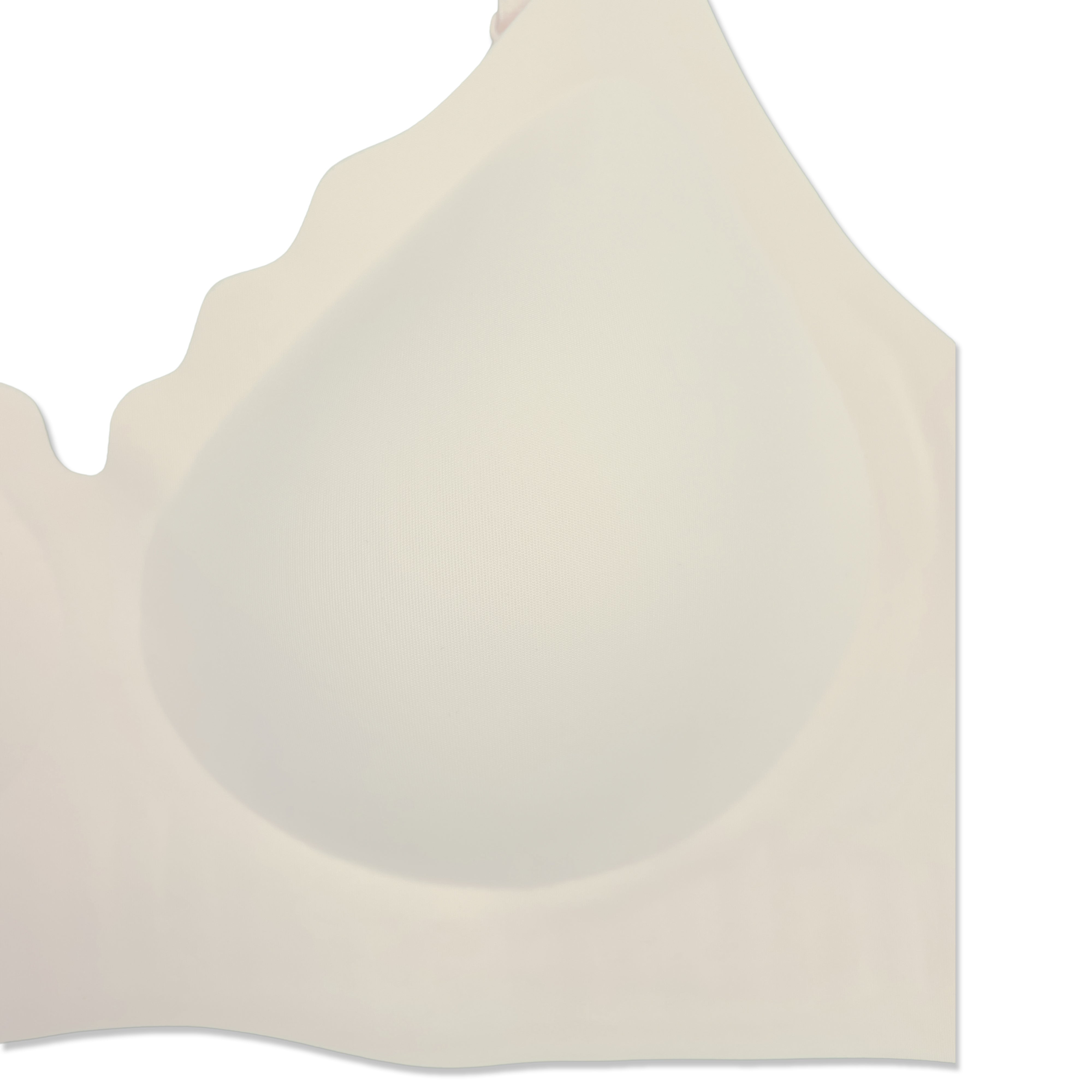 Silk Secret Padded Bra - Scallop Seamless