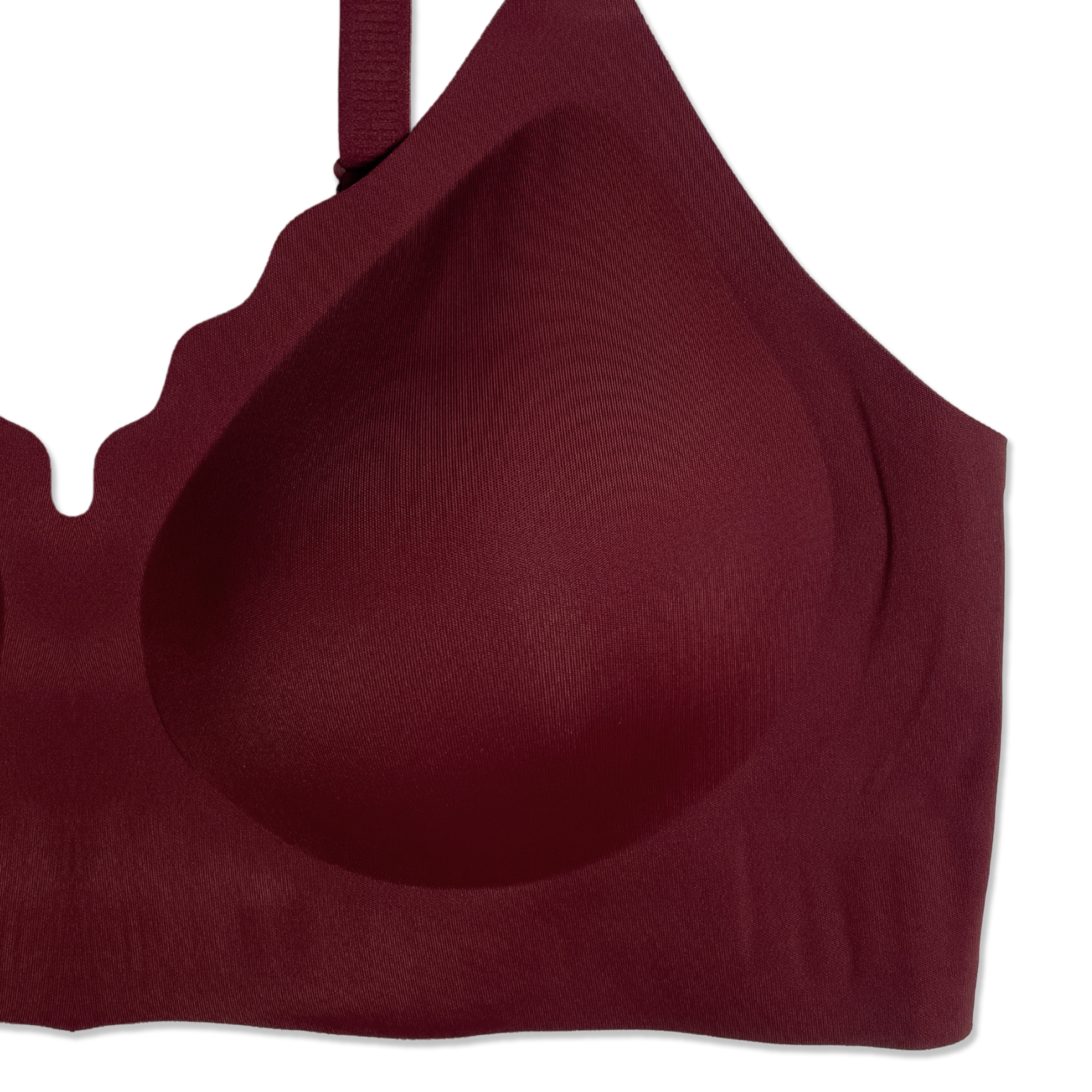 Silk Secret Padded Bra - Scallop Seamless