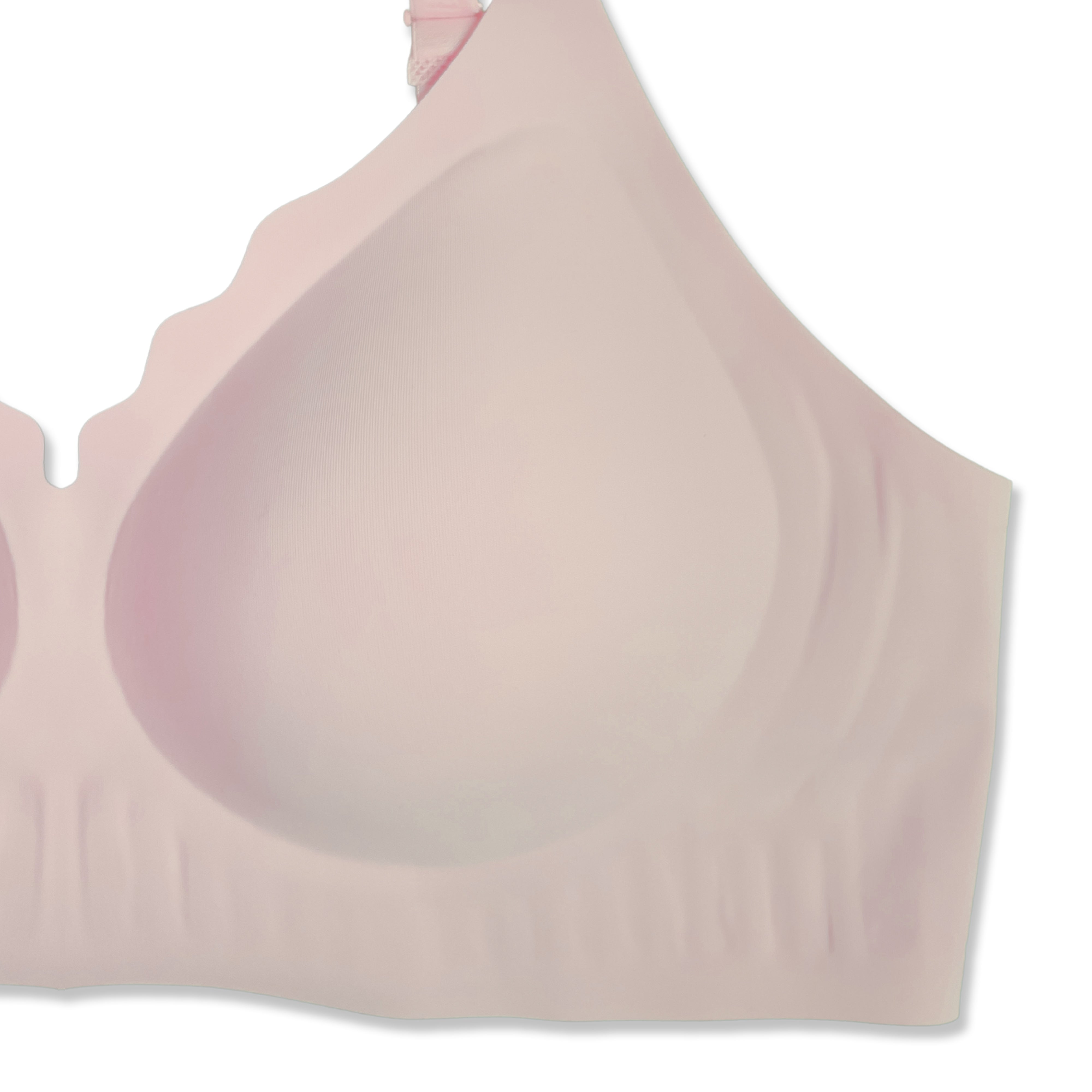 Silk Secret Padded Bra - Scallop Seamless
