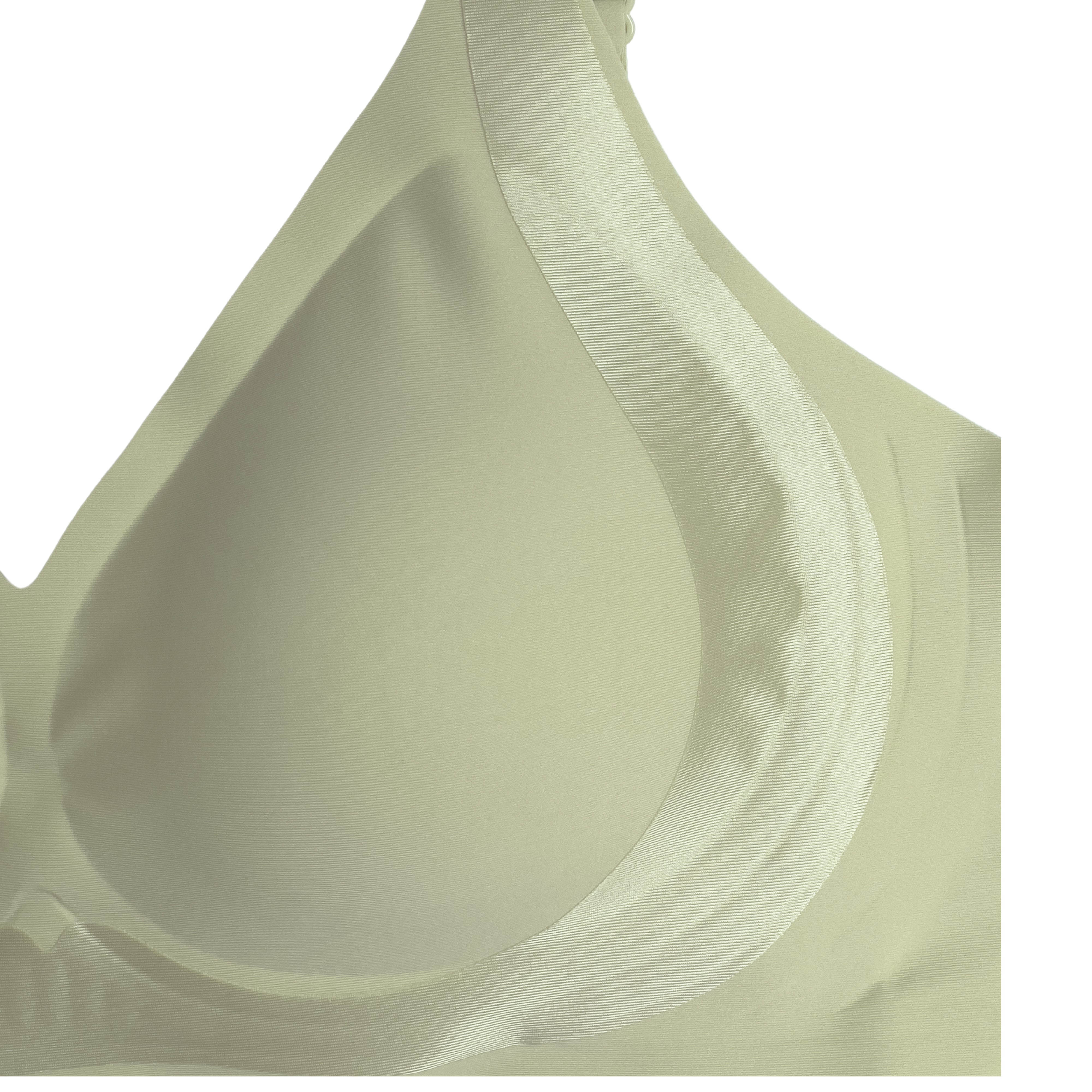 Silk Secret Padded Bra - Comfort Fit