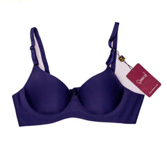 Silk Secret Derry Padded T-Shirt Push Up Bra blue color best quality gym br a for women comfy feel sportwear br a price in pakistan