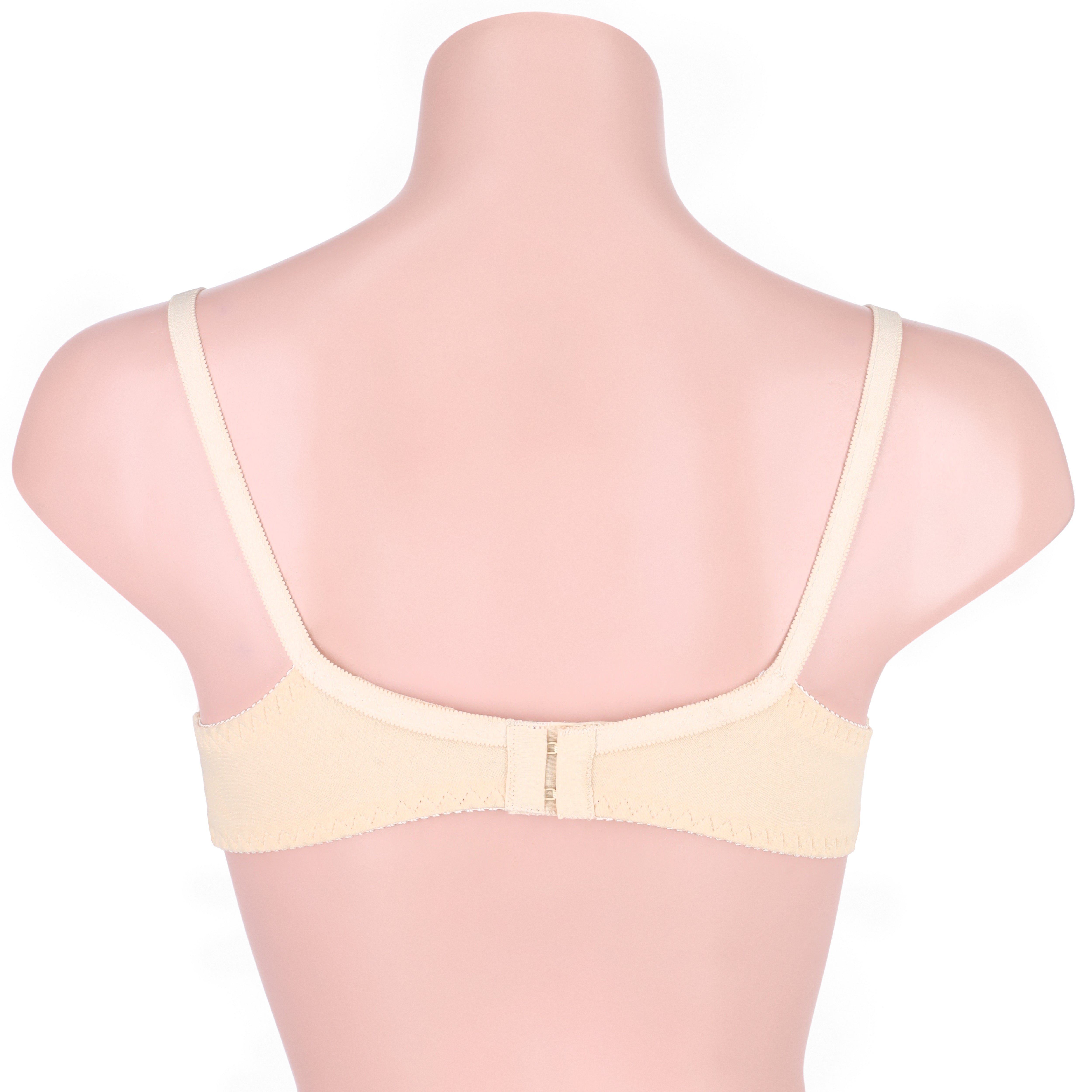 Ample Single Padded Casual Wireless Bra