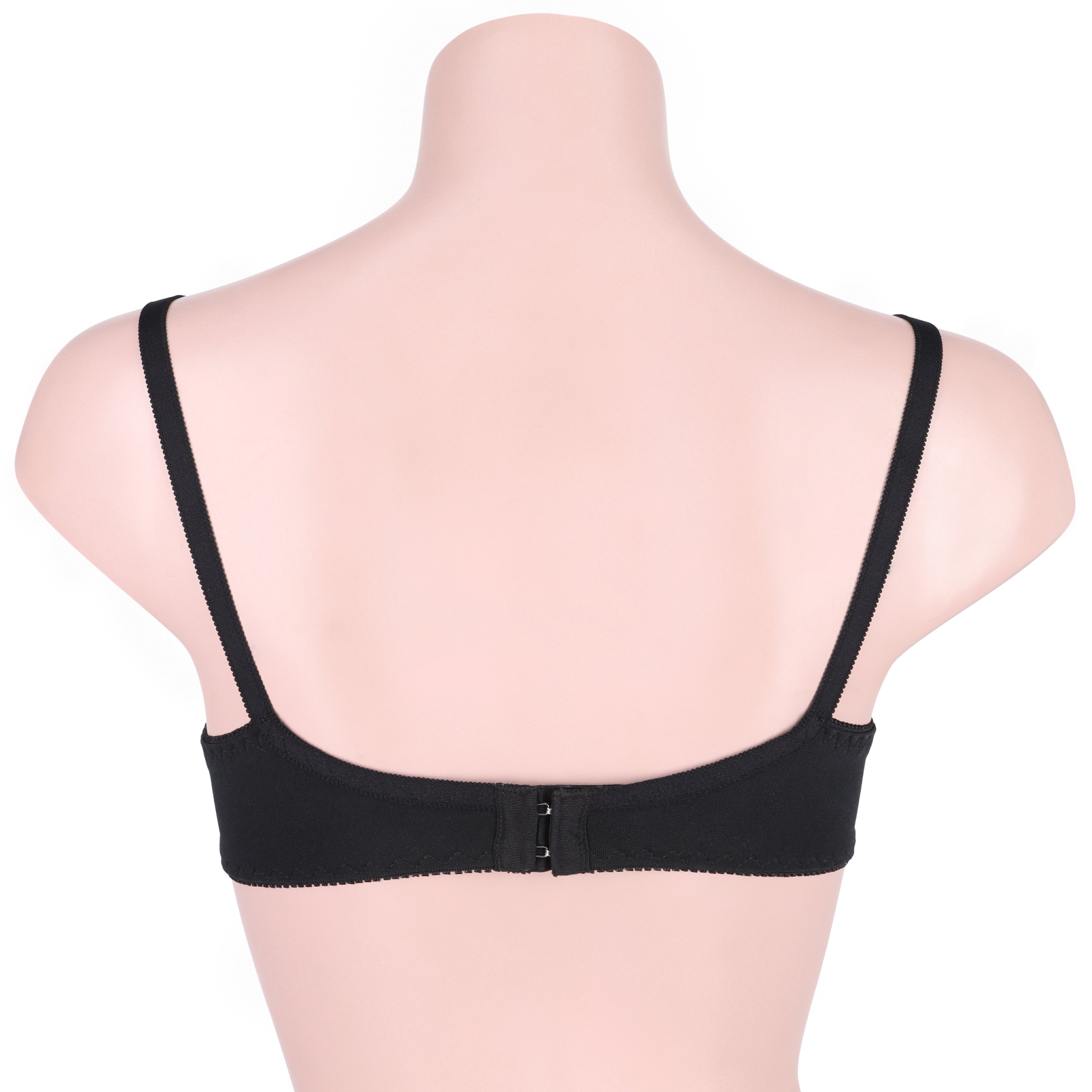 Ample Single Padded Casual Wireless Bra