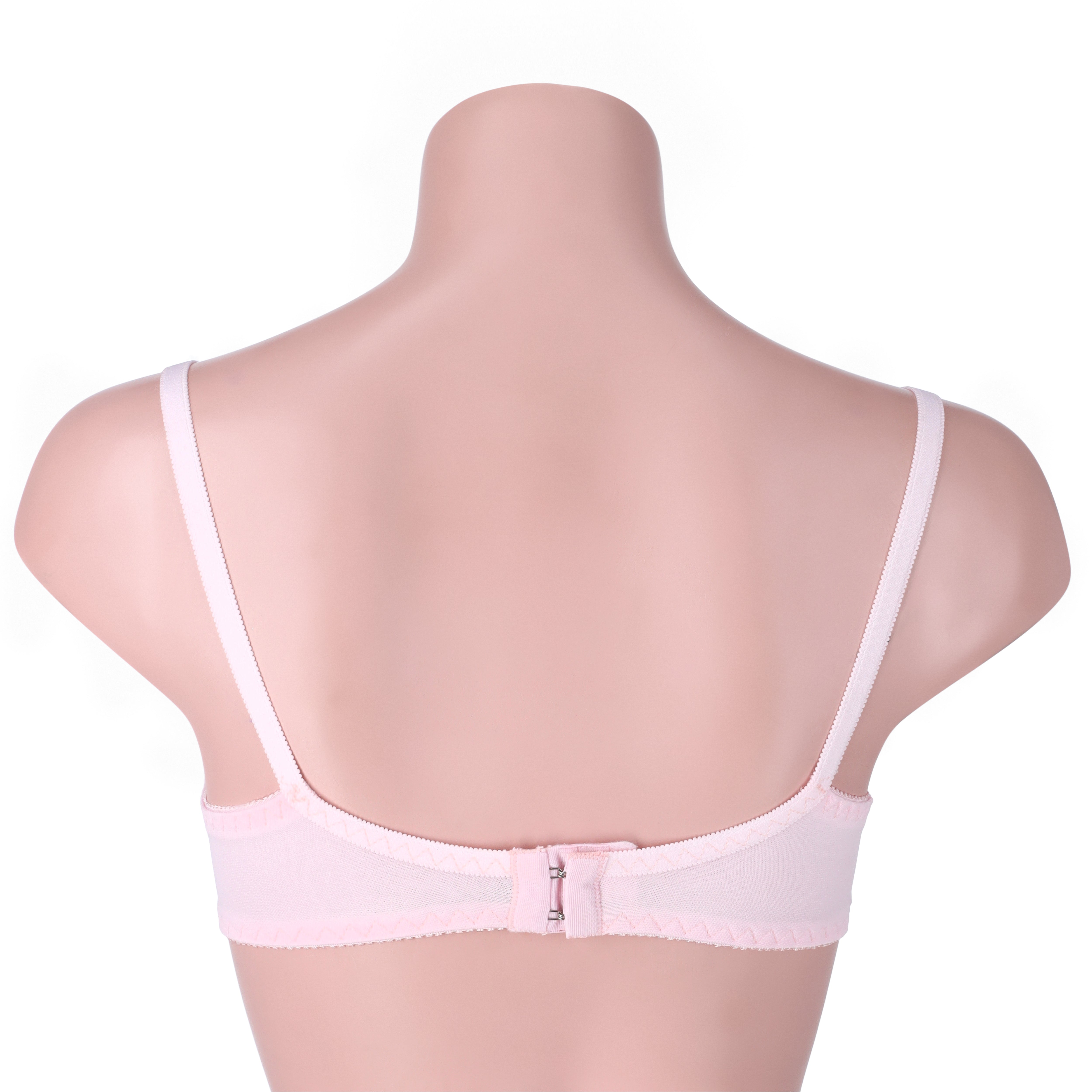 Ample Single Padded Casual Wireless Bra