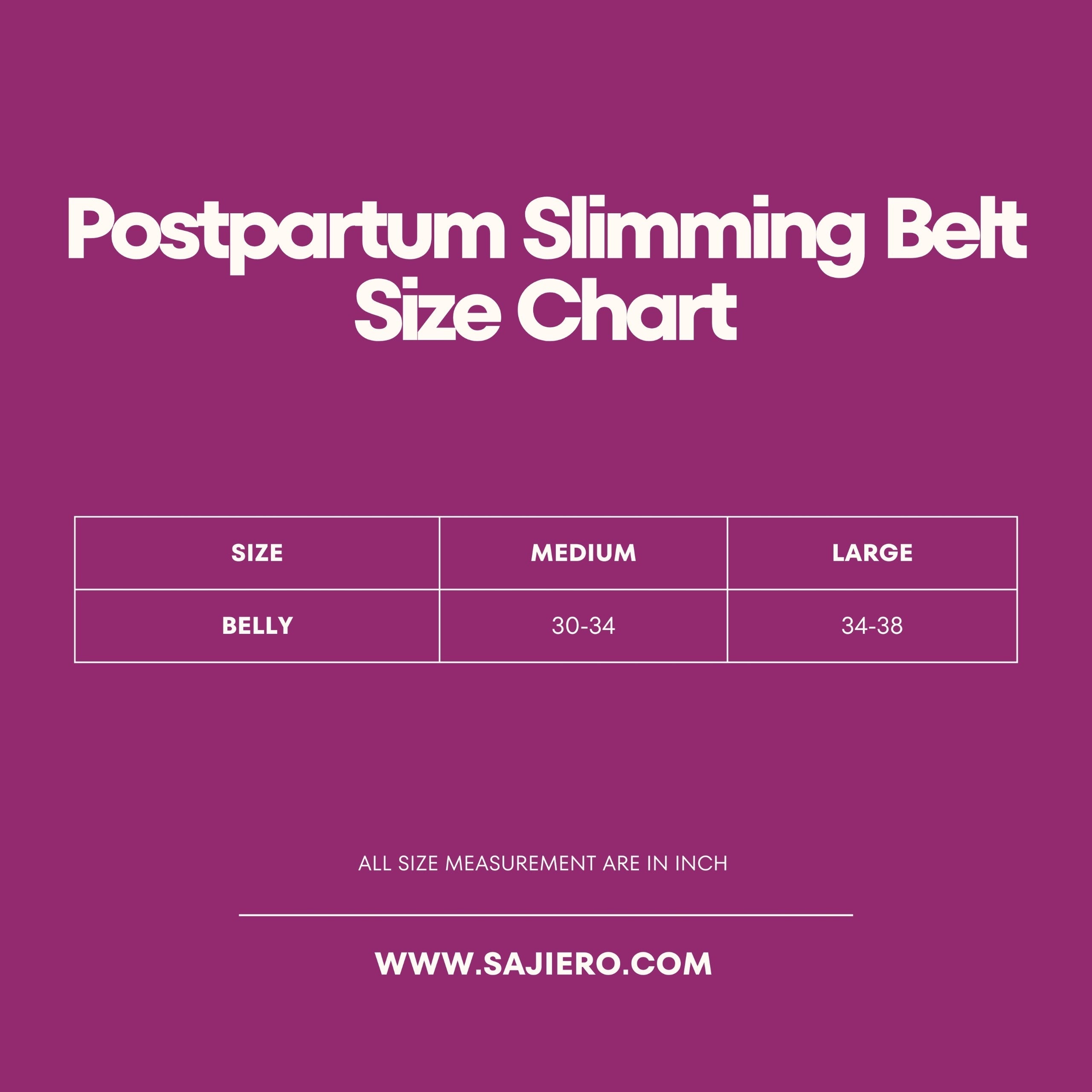 Silk Secret Tummy Control Buckle Butt Lifter Postpartum Body Shaper - Hook Panty Shaper